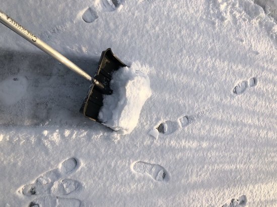 Петербуржцам объяснили, как и где можно отследить уборку снега в городе