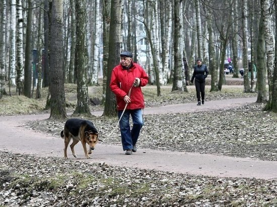 Жители Великого Новгорода выберут территорию, которую благоустроят в 2024 году