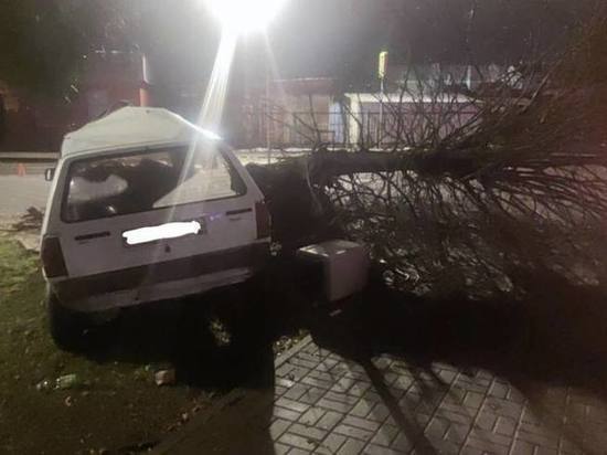 В Полесске угонщик врезался в дерево, госпитализирован пассажир