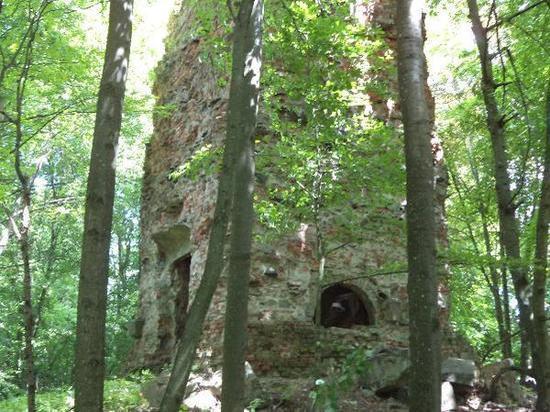 Владелец сыроварни арендовал руины башни Бисмарка под Неманом