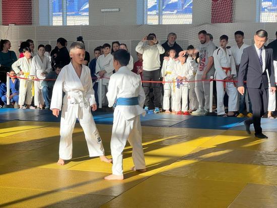 Более 170 спортсменов приняли участие в турнире по дзюдо в Сахалинской области