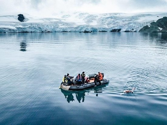 Чилийская пловчиха проплыла 2,49 км в водах Антарктиды