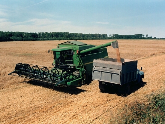 Высокие пошлины мешают аграриям экспортировать пшеницу