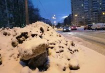 Коммунальные службы Санкт-Петербурга продолжают сваливать грязный снег вперемешку с реагентами на газоны. Впоследствии это может привести к тому, что в городе не останется зеленых насаждений.