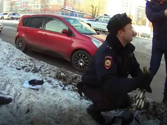 В Екатеринбурге задержали закладчика, втыкавшего в снег ветки с наркотиком