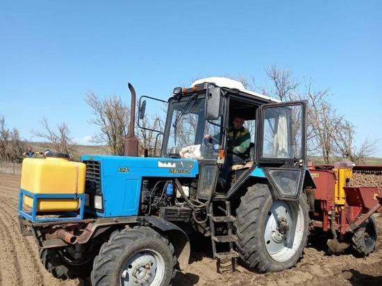Ставропольским аграриям помогут с закупкой элитных семян