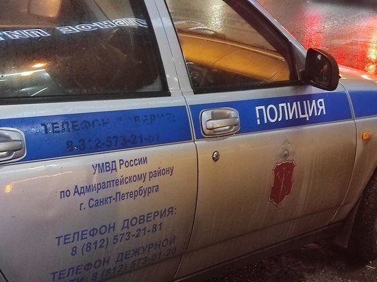 Пьяный петербургский водитель уснул в патрульной машине, пока на него оформляли протокол