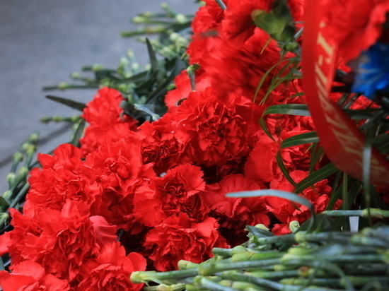 Новгородские и краснодарские студенты почтили память героев Великой Отечественной войны