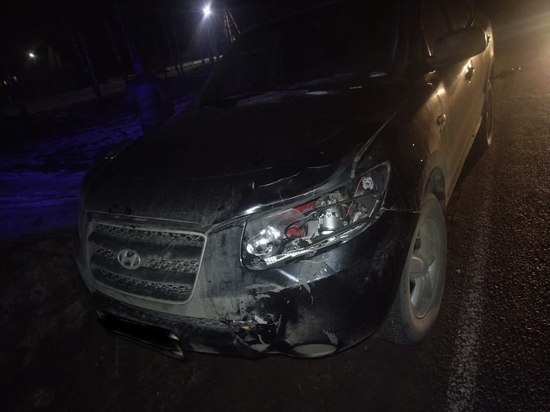 На трассе в Воронежской области пол колесами Hyundai Santa Fe погибла 28-летняя женщина