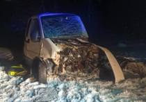 На Новгородском участке федеральной автодороги 11 февраля в 21:45 в результате аварии погибли водитель и пассажир автомобиля