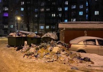 Недавно в Великом Новгороде экоактивисты организовали экоточку по сбору отходов