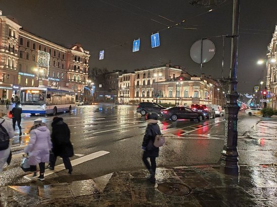 В Петербурге на сутки объявили «желтый» уровень погодной опасности из-за ветра