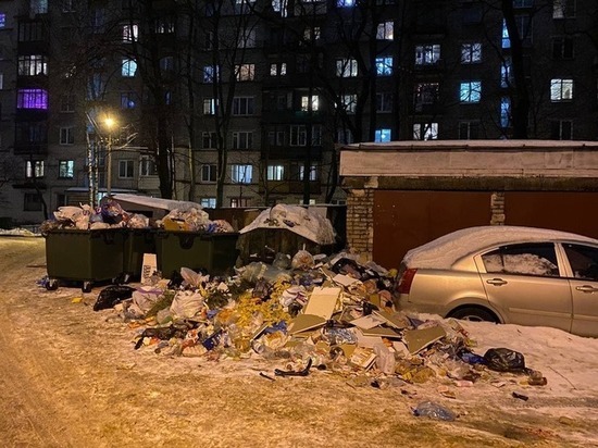 Новгородская область и раздельный сбор мусора: почему он нужен?