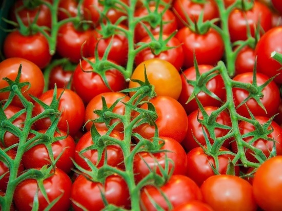 Масса пользы и всего 30 калорий: как правильно использовать томаты для похудения