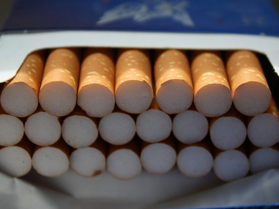 В Госдуме обсуждают введение в России обезличенных пачек сигарет