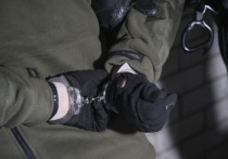 В Ямало-Ненецком автономном округе (ЯНАО) психиатры признали вменяемым местного жителя, которые выбросил из окна двухлетнюю девочку из-за того, что она плакала