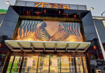 Компания Orange group выставила на продажу несколько объектов, в их числе ТЦ Zebra на улице Косыгина. Ему планируют найти нового владельца за 950 миллионов рублей.
