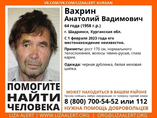 Продолжается поиск пенсионера, пропавшего в Шадринске две недели назад