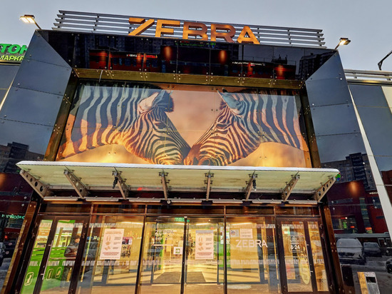 ТЦ Zebra на улице Косыгина найдут нового владельца за 950 млн рублей