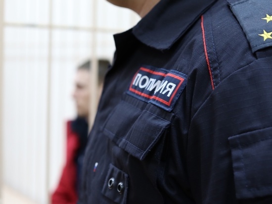 На жителя Омской области возбудили уголовное дело за добычу спящего лося