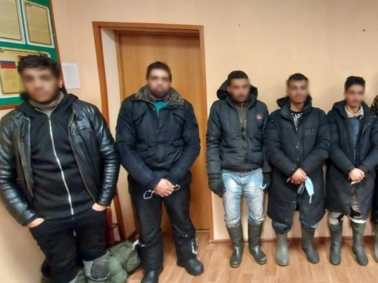 Пятерых азиатов и двоих африканцев, незаконно пробравшихся в Россию, задержали под Себежем