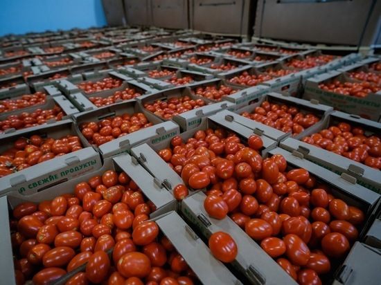 В Астраханскую область не пропустили 18 тонн томатов из Казахстана