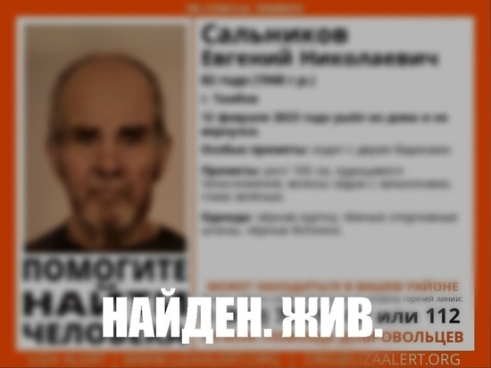 В Тамбовской области нашли пропавшего 82-летнего пенсионера