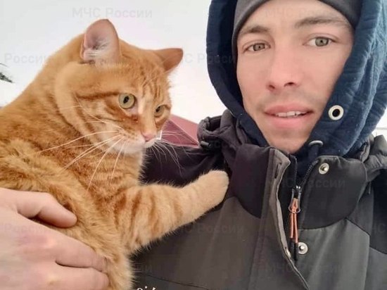 Пожарный в отпуске снял кота со столба в Южно-Сахалинске
