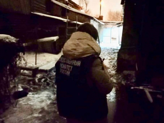 На пожаре в Балакове погиб пожилой мужчина