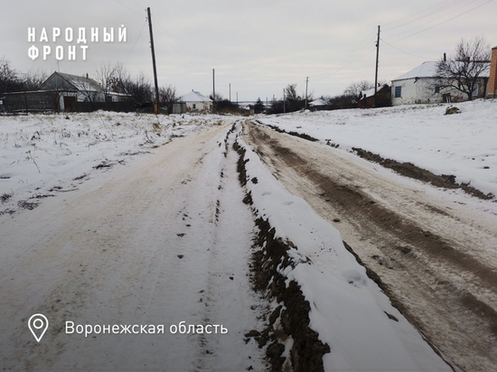Под Воронежем по двум сельским улицам в Рождественской Хаве не может проехать скорая помощь