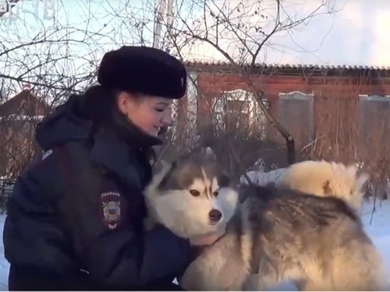 В Кузбассе наградили девушку-полицейского, спасшую раненого хаски