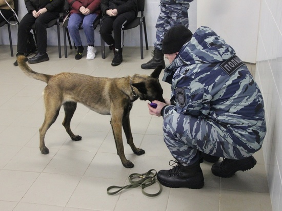 Служебные собаки помогли полицейским найти пропавших детей в Петрозаводске