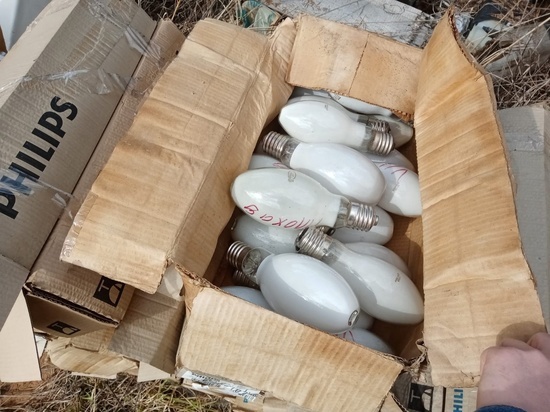 В программе ГИС Кировской области обозначили все пункты приема ртутных ламп и батареек