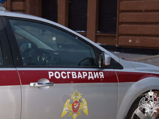 ФСБ накрыла канал по легализации иностранцев в Липецкой области