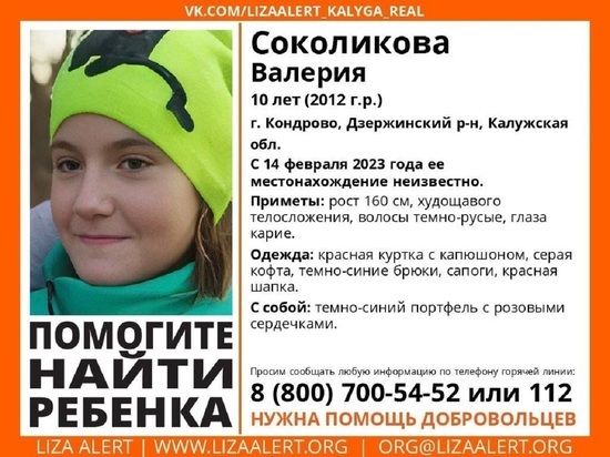 В Калужской области пропала 10-летняя девочка
