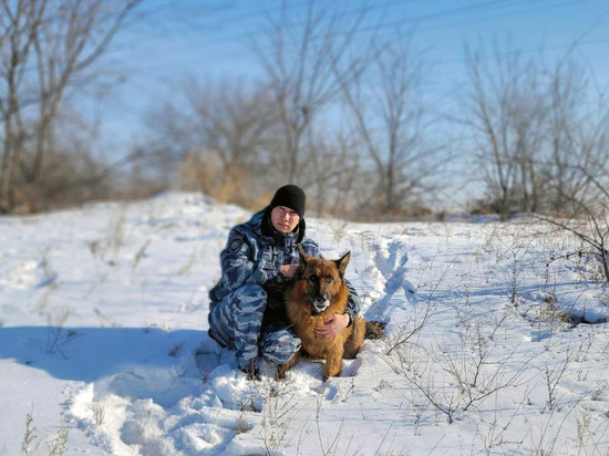 Полицейский пёс Лютый помог найти вора в Забайкалье