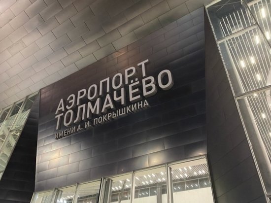 Жители Новосибирска пожаловались на новый терминал Толмачево