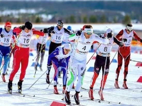 В Устьянах начались тренировки лыжников к «Чемпионским высотам»