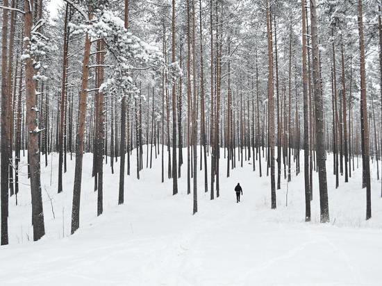 Народные приметы на 16 февраля 2023 года — что нельзя делать в этот день