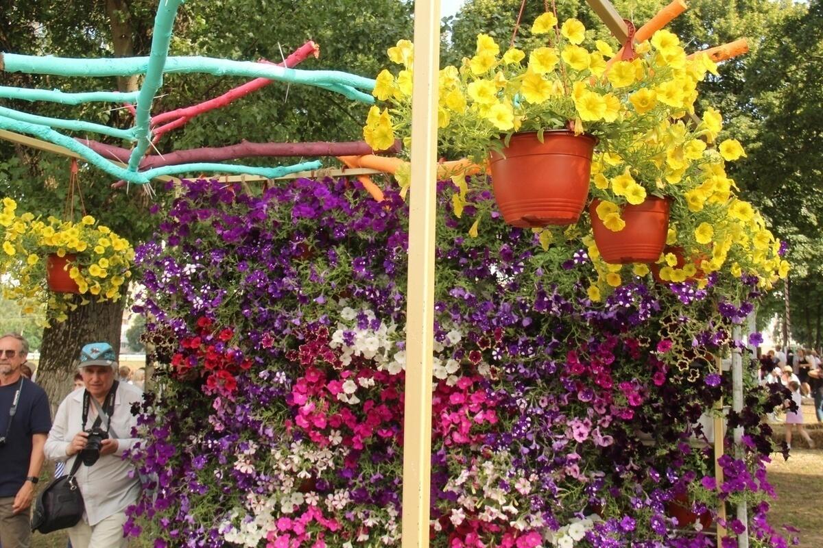 Фестиваль цветов в санкт-петербурге. Цветы на ярмарке. Выставка цветов в орле 2024. Выставка цветов в орле 2024. Выставка цветов в орле 2024.