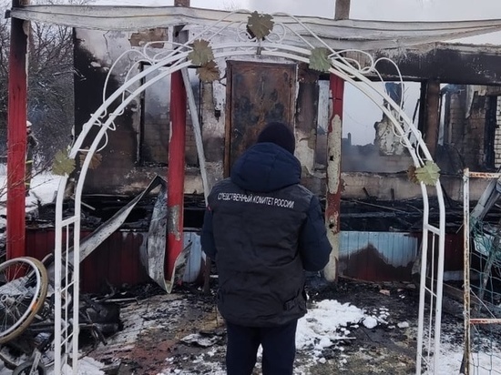 В Притамбовье возбуждено уголовное дело по факту гибели при пожаре пенсионерки и её сына-инвалида