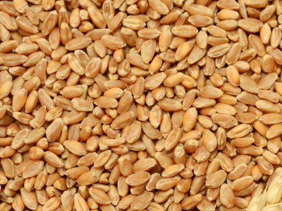 Ставрополье увеличило перевозку зерна и муки по железной дороге