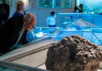 Учёные нашли в упавшем челябинском метеорите новые минеральные соединения

Впервые южноуральцам удалось изучить не только само небесное тело, но и метеоритную пыль
