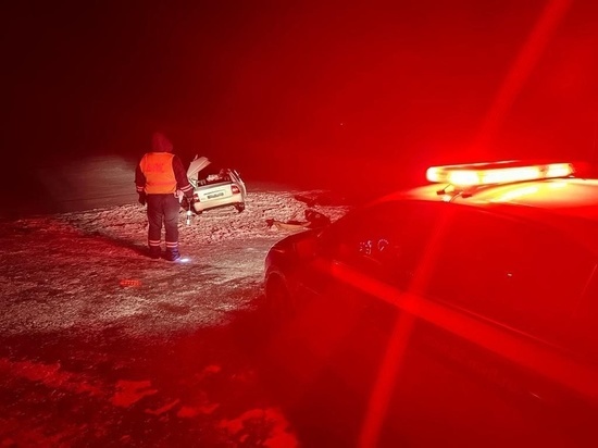 Полиция ищет очевидцев ДТП с четырьмя погибшими в Михайловском районе