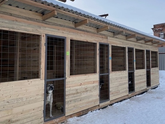 Segezha Group обновила электросистему  приюта для животных