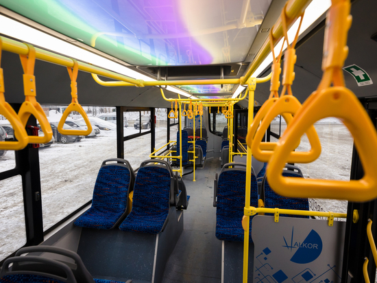 В Апатитах создадут два новых автобусных маршрута