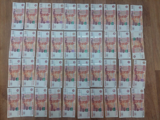 Пенсионерка из Вологды отдала мошенникам 200 тысяч рублей, чтобы уберечь родственника