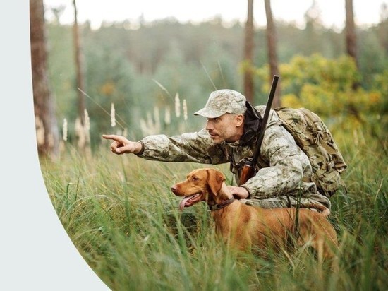 Охотники в НАО могут оформить охотничьи билеты в один клик