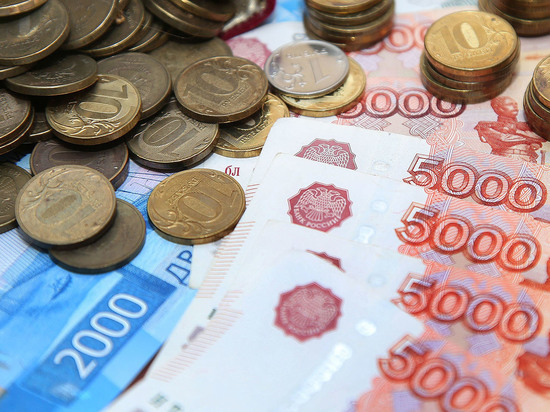 В Минфине заявили, что сбор с бизнеса может стать как добровольным, так и обязательным