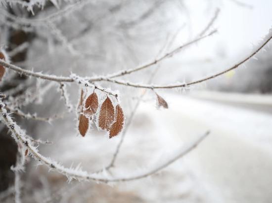 16 февраля в Астраханской области ожидаются небольшой снег и гололед